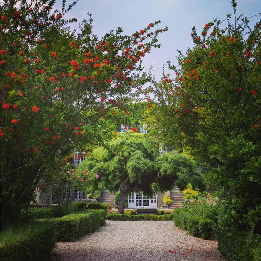 Château De Floure&Spa Carcassonne Exterior foto